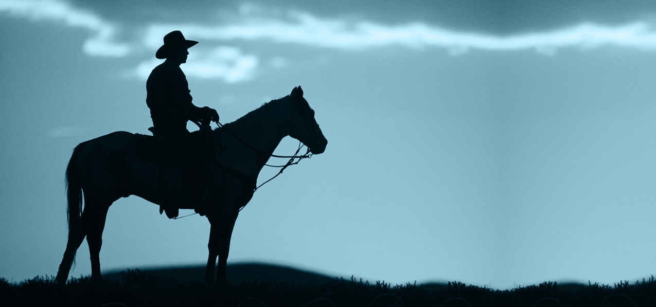 Cowboy Blue